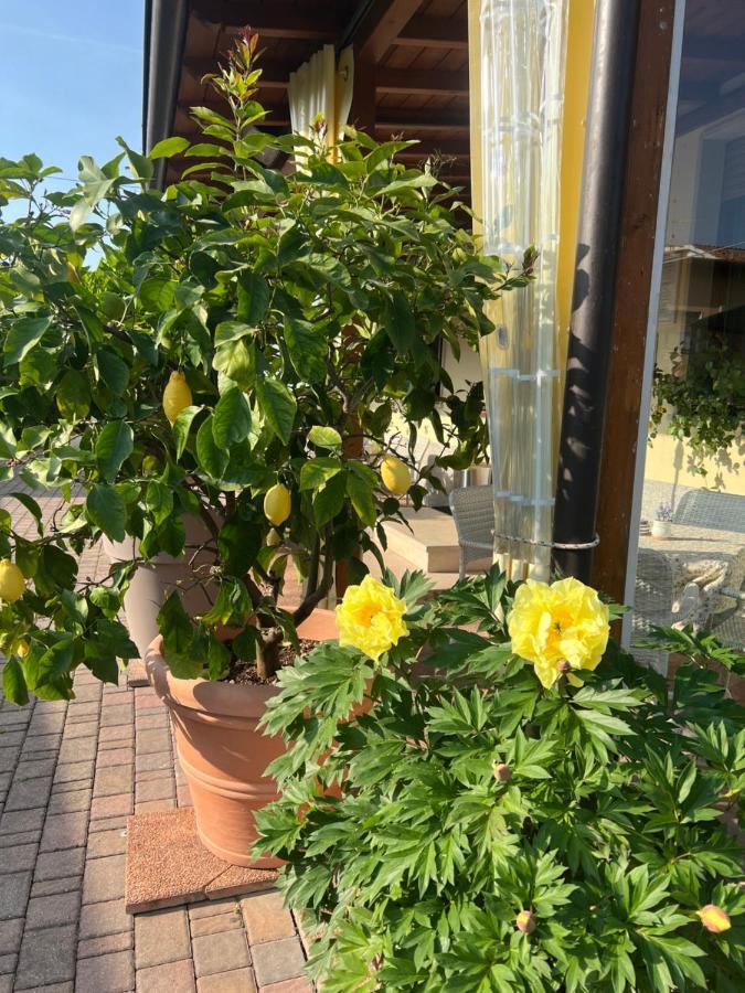 La Mimosa Lazise Hotel Eksteriør billede